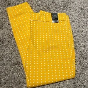 NY & Co Audrey Capri Dress Pants- NWT